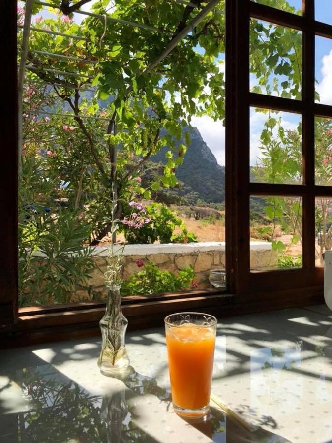 Kathys Island Retreat Aparthotel Adia Bagian luar foto