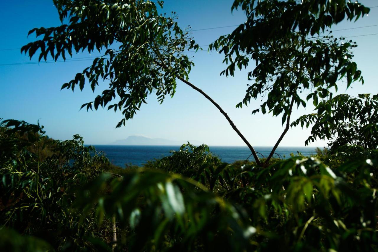 Kathys Island Retreat Aparthotel Adia Bagian luar foto