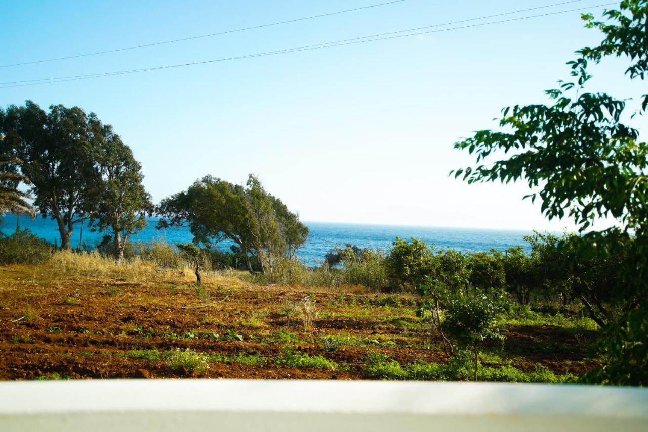 Kathys Island Retreat Aparthotel Adia Bagian luar foto