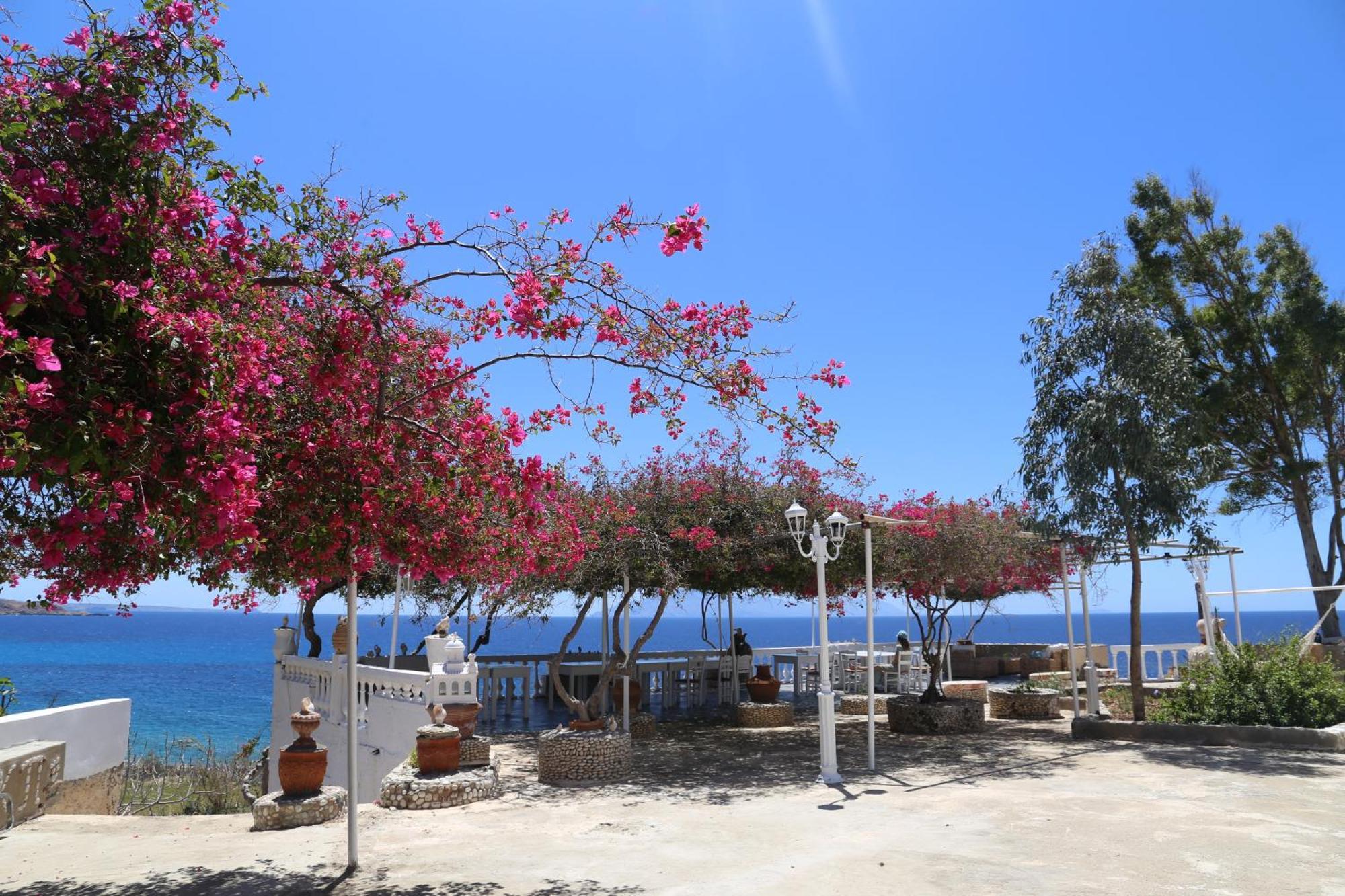 Kathys Island Retreat Aparthotel Adia Bagian luar foto